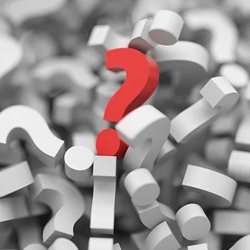 trivia trivia