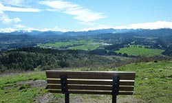 eugene