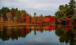 metrowest