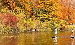 minnetonka