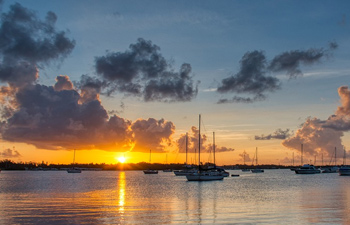 Sarasota Bradenton